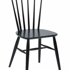 Pohjanmaan Lilja Pinnatuoli, Musta Tammi