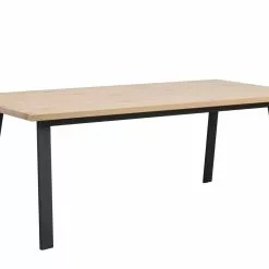 Rowico Winnipeg-pöytä 200x100, Valkopesty/musta