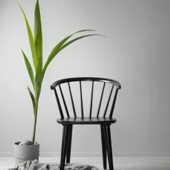 Carmen Pinnatuoli, Musta